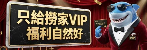 娛樂城優惠整理|大撈家娛樂城首存、USDT回饋、百家樂活動與VIP福利一次看 3 大撈家VIP福利宣傳