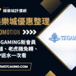 TZ Gaming新會員首儲、老虎機免轉、VIP返水一次看